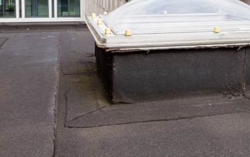 disadvantages of Dunstall Common flat roofs
