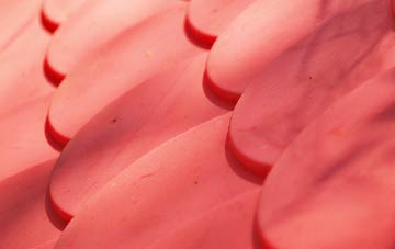 Dunstall Common plastic roof costs