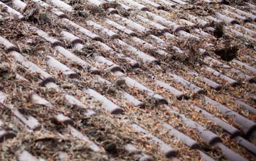 Dunstall Common roof cleaning companies