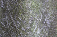 Dunstall Common fibreglass roof work